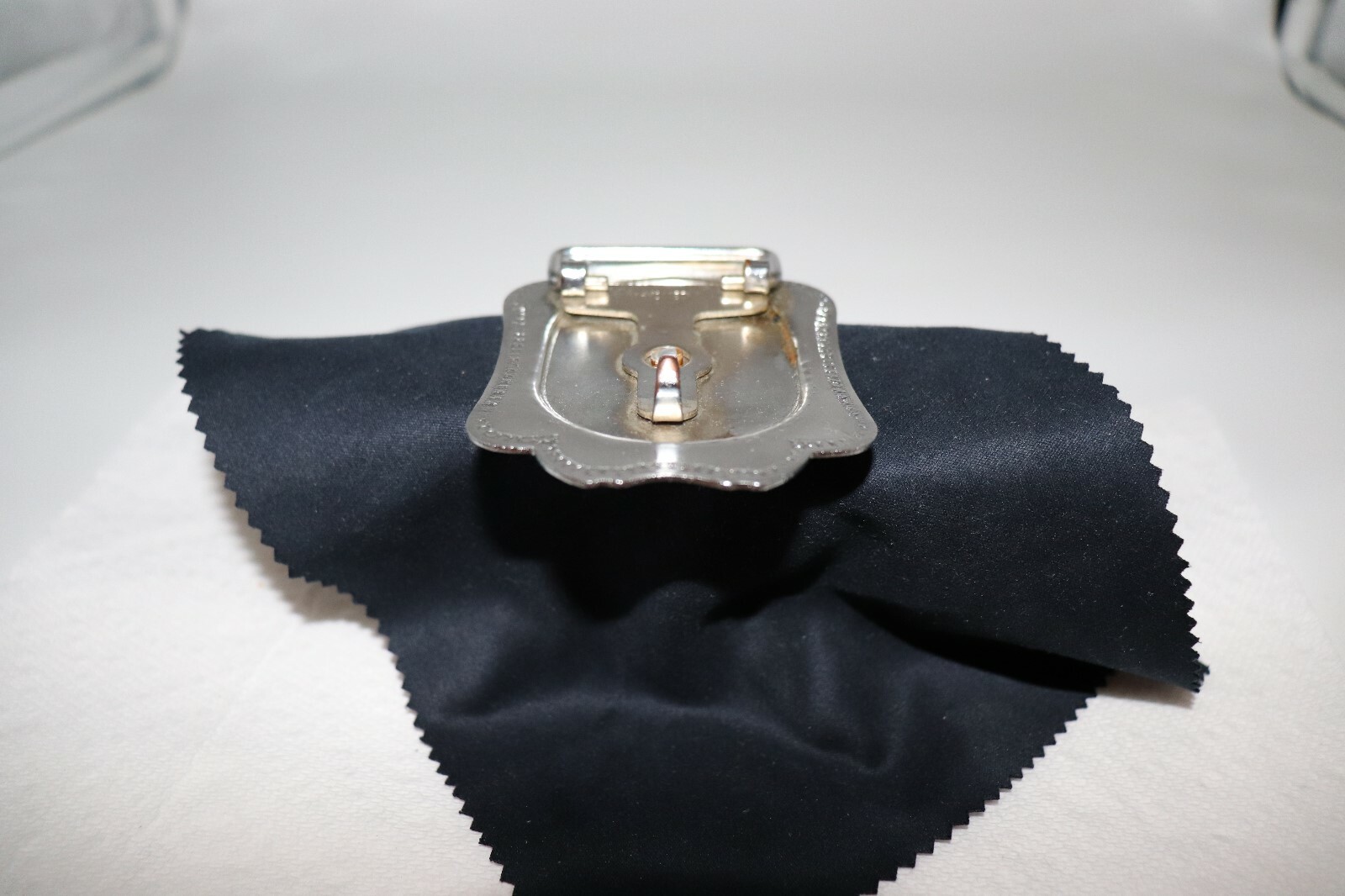 Horse in a Horseshoe Belt Buckle