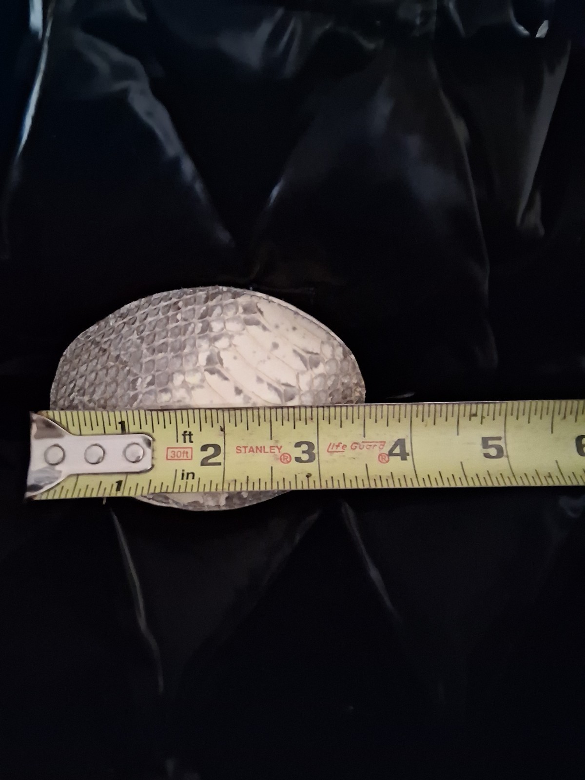 White And Grey Snakeskin Genuine Python Skin,