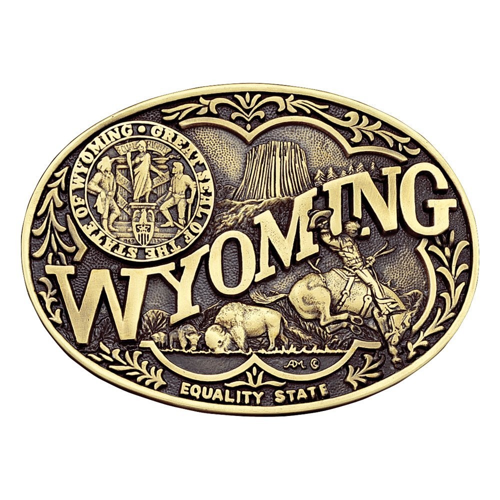 Montana Silversmiths State Heritage Antiqued Oval Brass Western Belt Buckle New