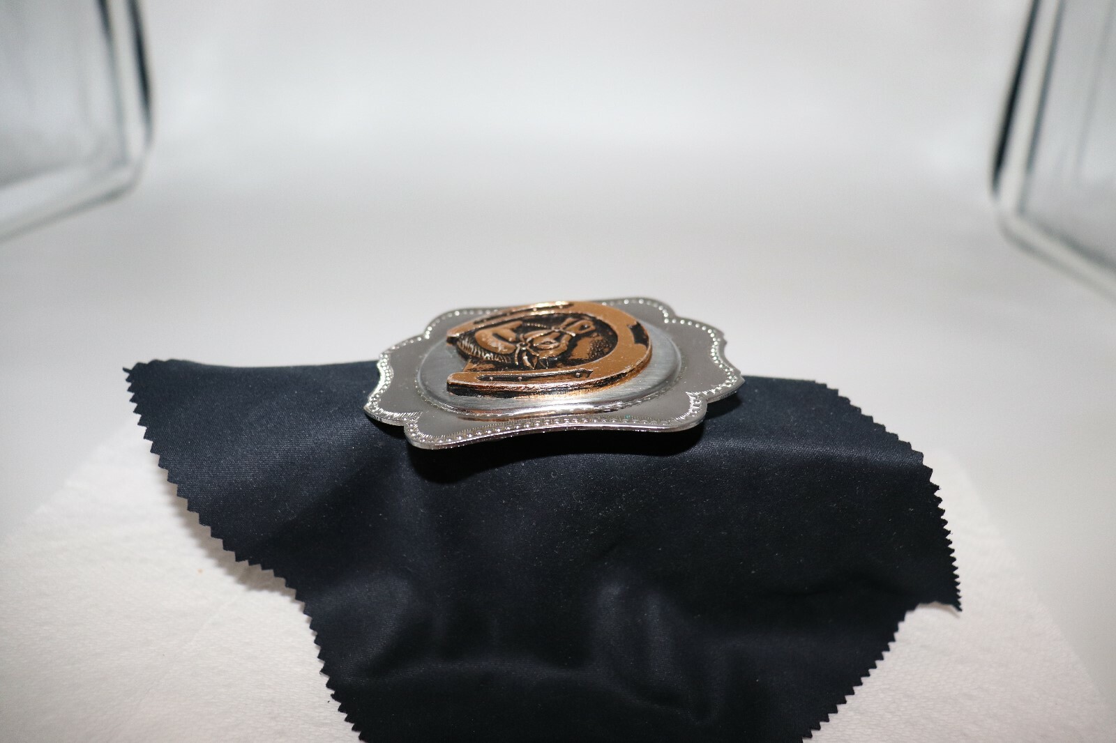 Horse in a Horseshoe Belt Buckle