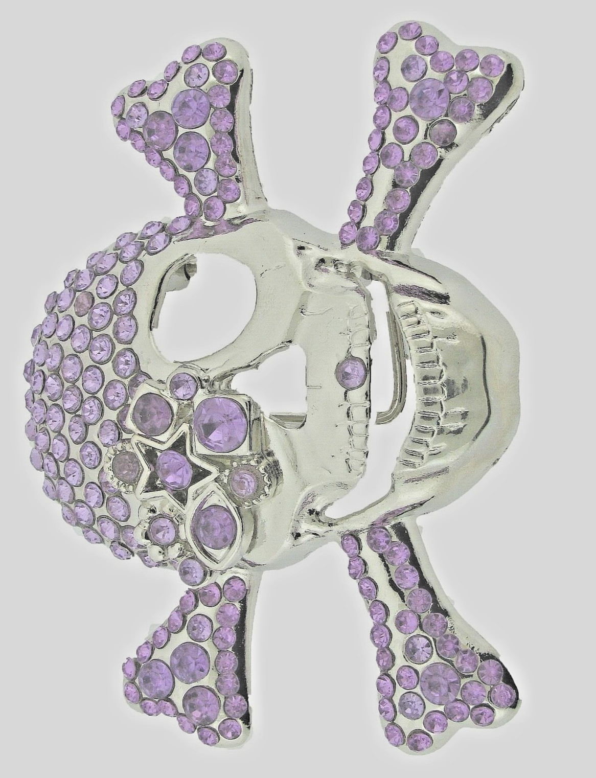Skull Belt Buckles Crossbones Halloween Pirate Costume Bling Purple Rhinestones