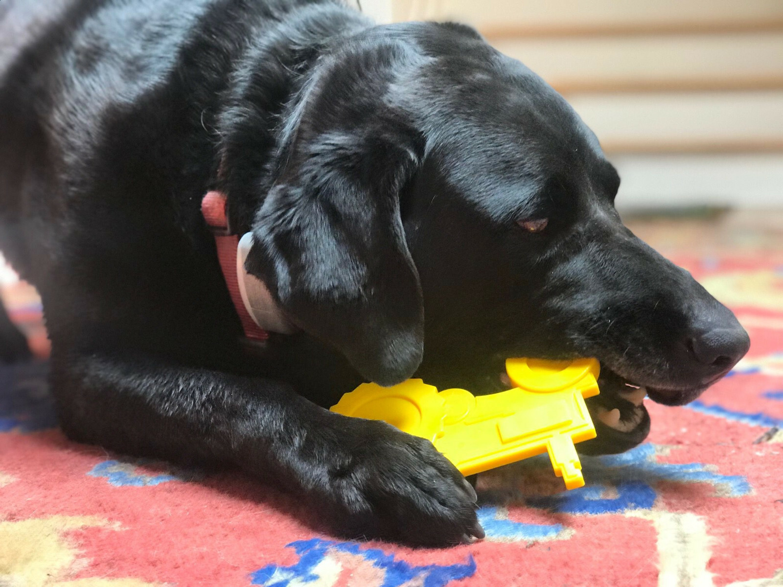 ID Tractor Nylon Toy Ultra Durable Chew Toy – Dog & Puppy Reward toy Yellow