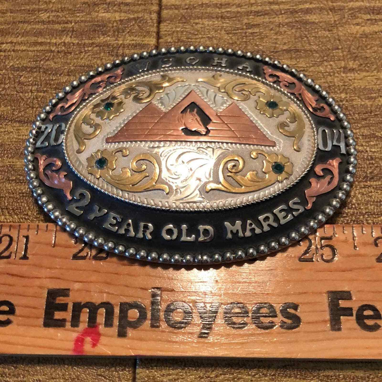 Frontier Brand WSQHA Q.H. Quarter Horse 2 Year Old Mares Trophy Belt Buckle