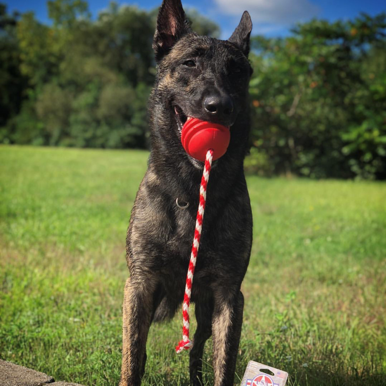 USA-K9 Stars And Stripes Ultra-Durable Reward Ball With Rope – Dog & Puppy
