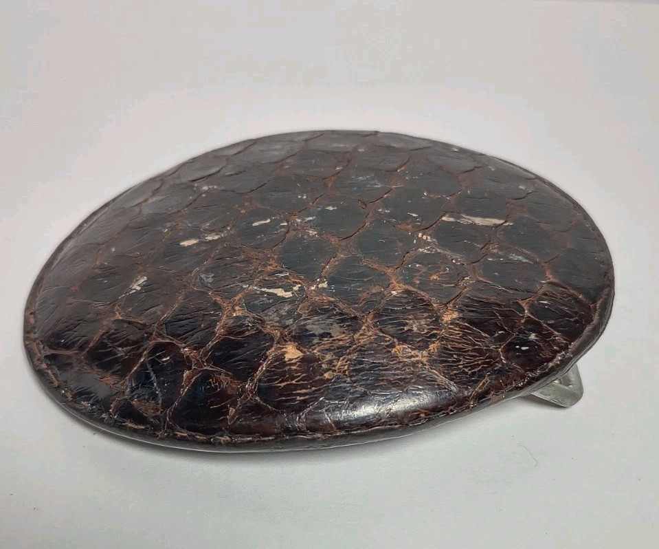 Justin 35 X Brown Leather Snake Skin Covered Belt Buckle Rustic Cowboy