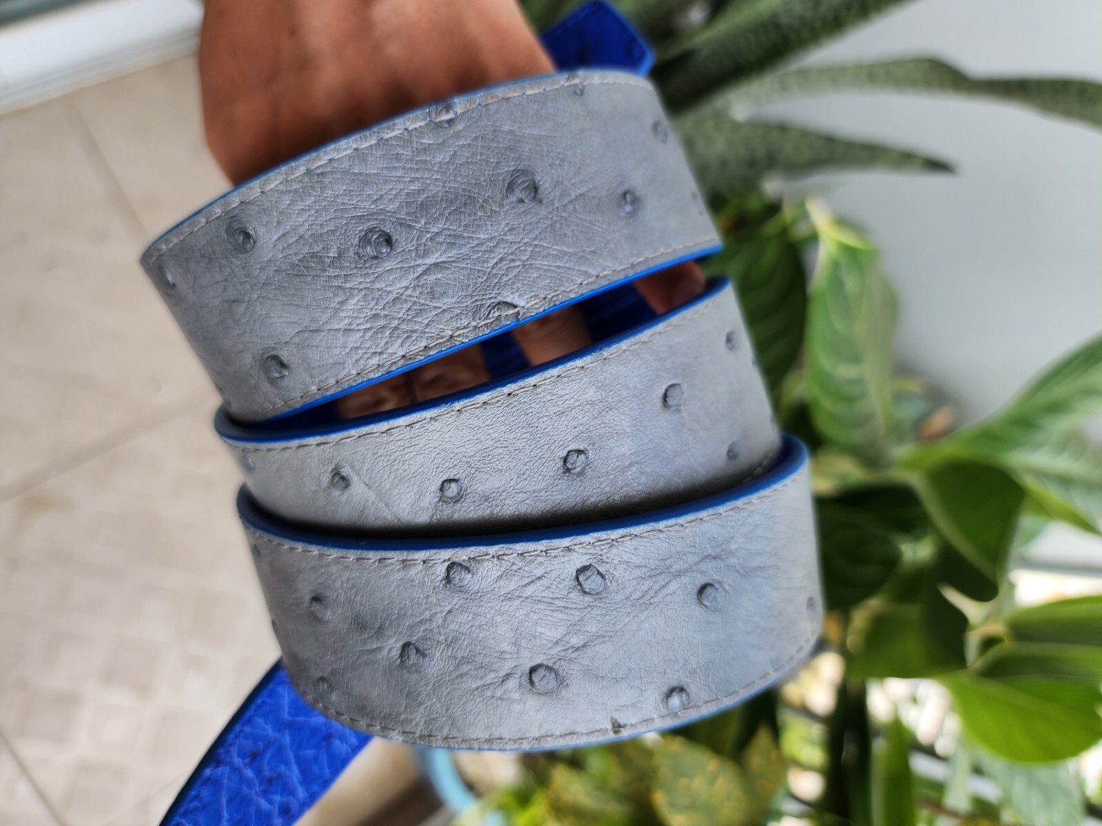 3.8CM Gray/Blue 100% Genuine Ostrich Leather Skin Men Belts Buckle-Handmade