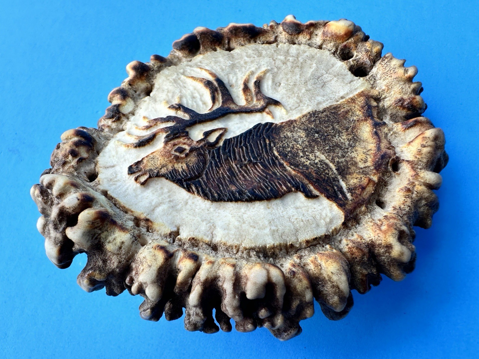 Vintage Elk Antler Belt Buckle Hand Carved M Horvat Western Rustic