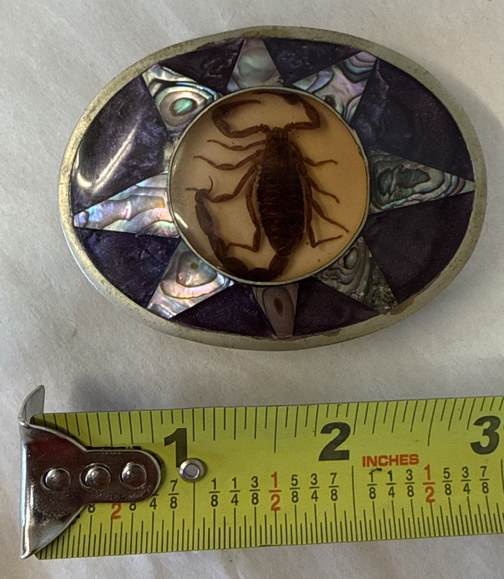 Vintage Alpaca Mexico Abalone Belt Buckle Resin Scorpion Southwest Native