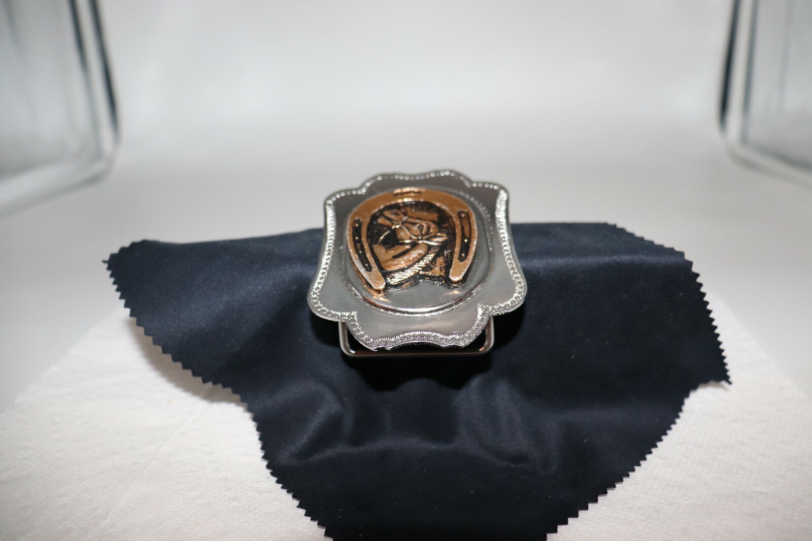 Horse in a Horseshoe Belt Buckle