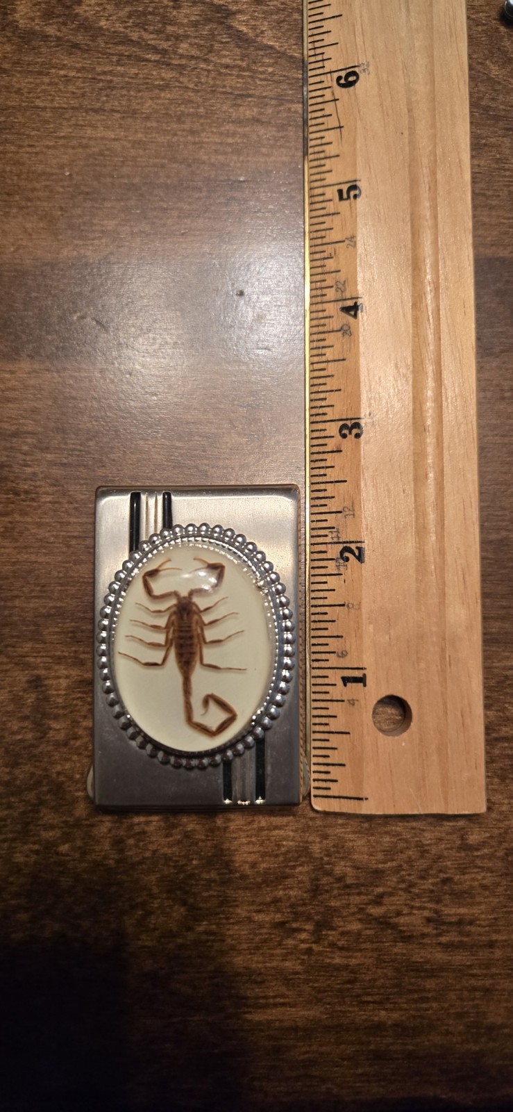 Western Scorpion Inset Rectangular Metal Belt Buckle Silver Tone 1.5 in