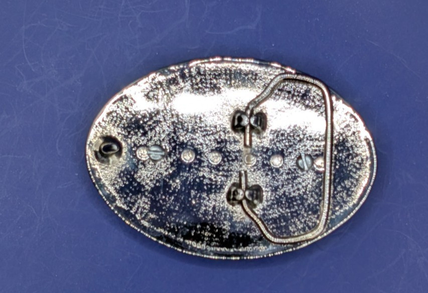 Genuine Real Python Skin Insert with Bezel & Silver Scroll Belt Buckle #2624