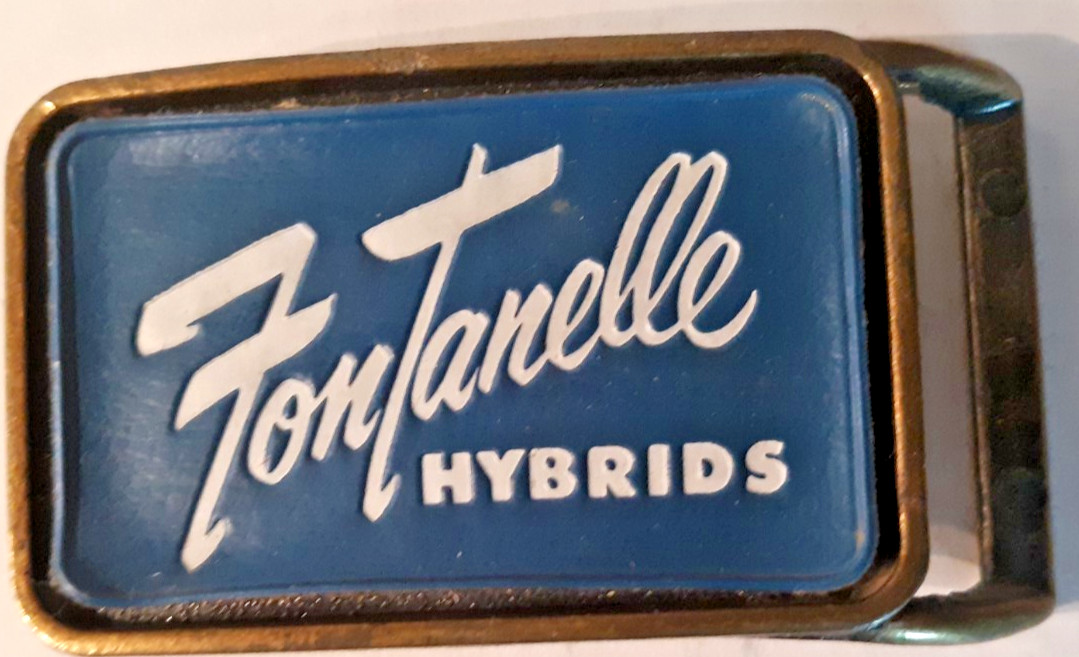 belt buckle Fontanelle Hybrids brass blue leather insert 1970s 4&Prime; long