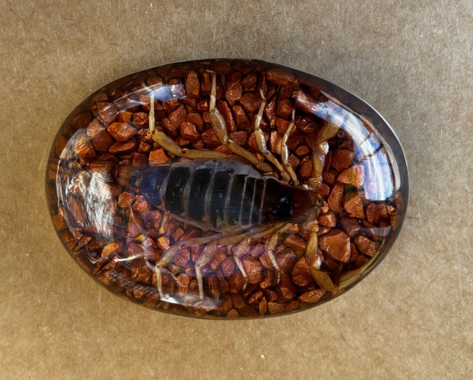Scorpion Real Belt Buckle Men Westen Cowboy Hecho Made en Mexico Vintage Insect
