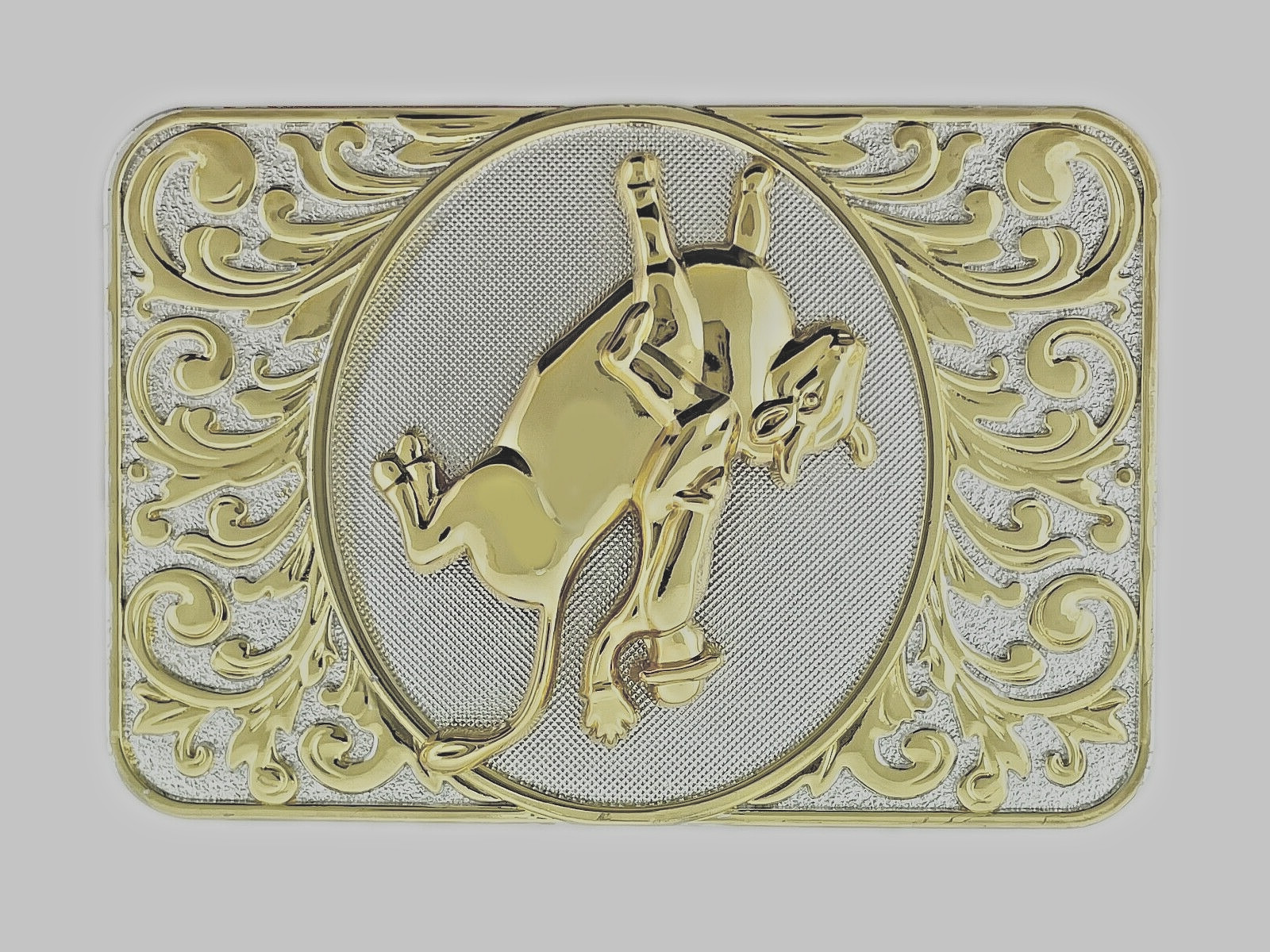 Western Cowboy Cowgirl Men Women State Texas Rode Belt Buckles Gold Silver Metal