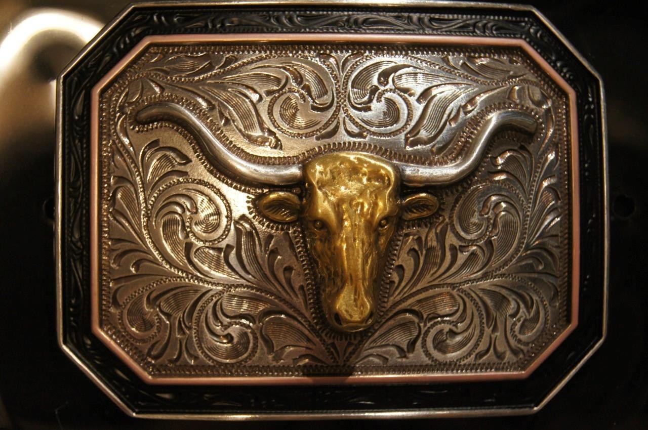 Ariat Western Rectangle Longhorn Silver & Gold tone Belt Buckle A37057