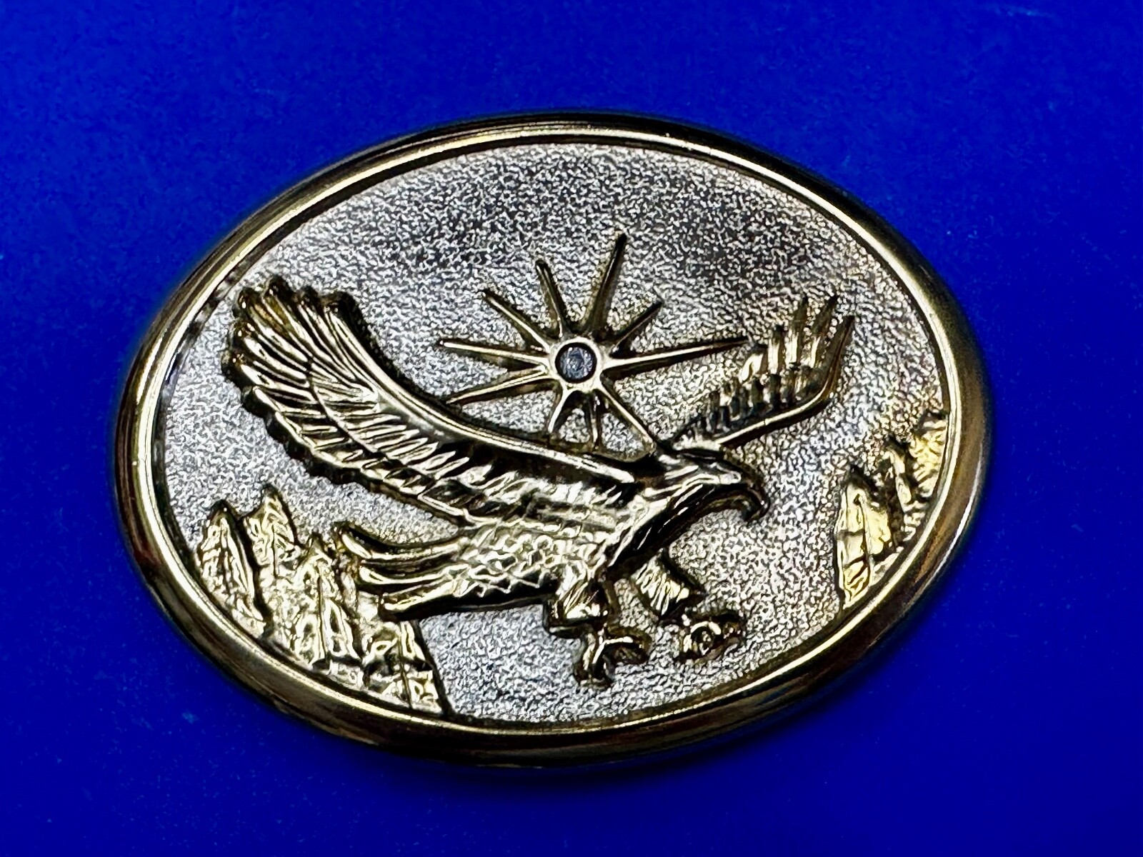 Eagle With Starburst USA Patriotic Belt Buckle Golden Western Bird Wings Cowboy
