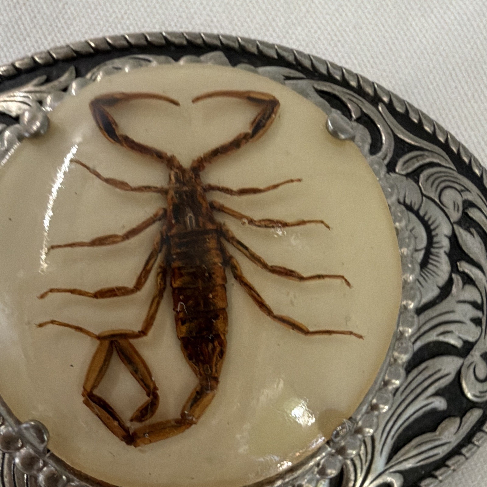 Men&rsquo;s Western Oval Scorpion Engraved Metal Belt Buckle Fits 1.5 in Belt