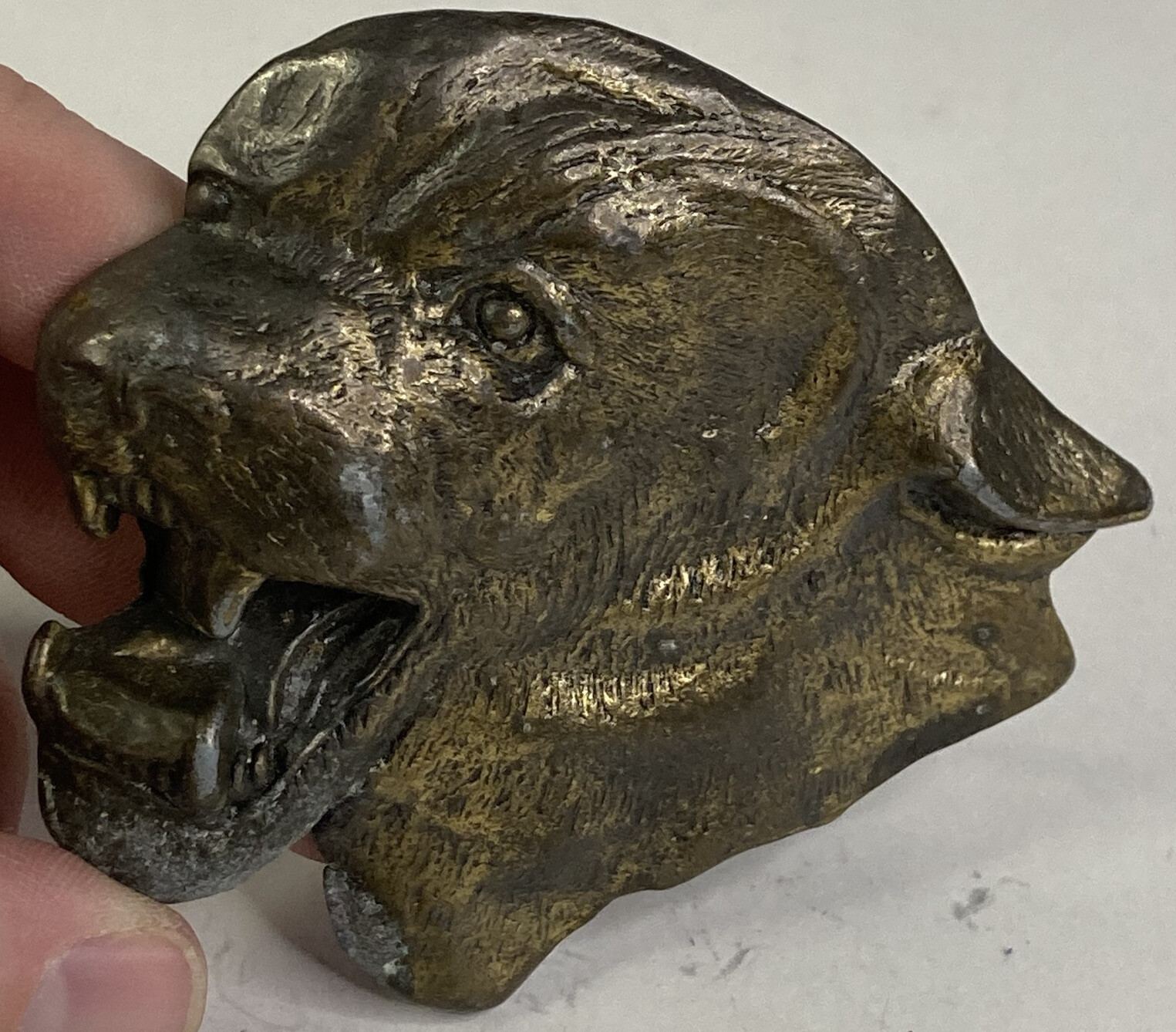 Vintage 1970’s MBCI Mountain Lion’s Head Brasstone Belt Buckle