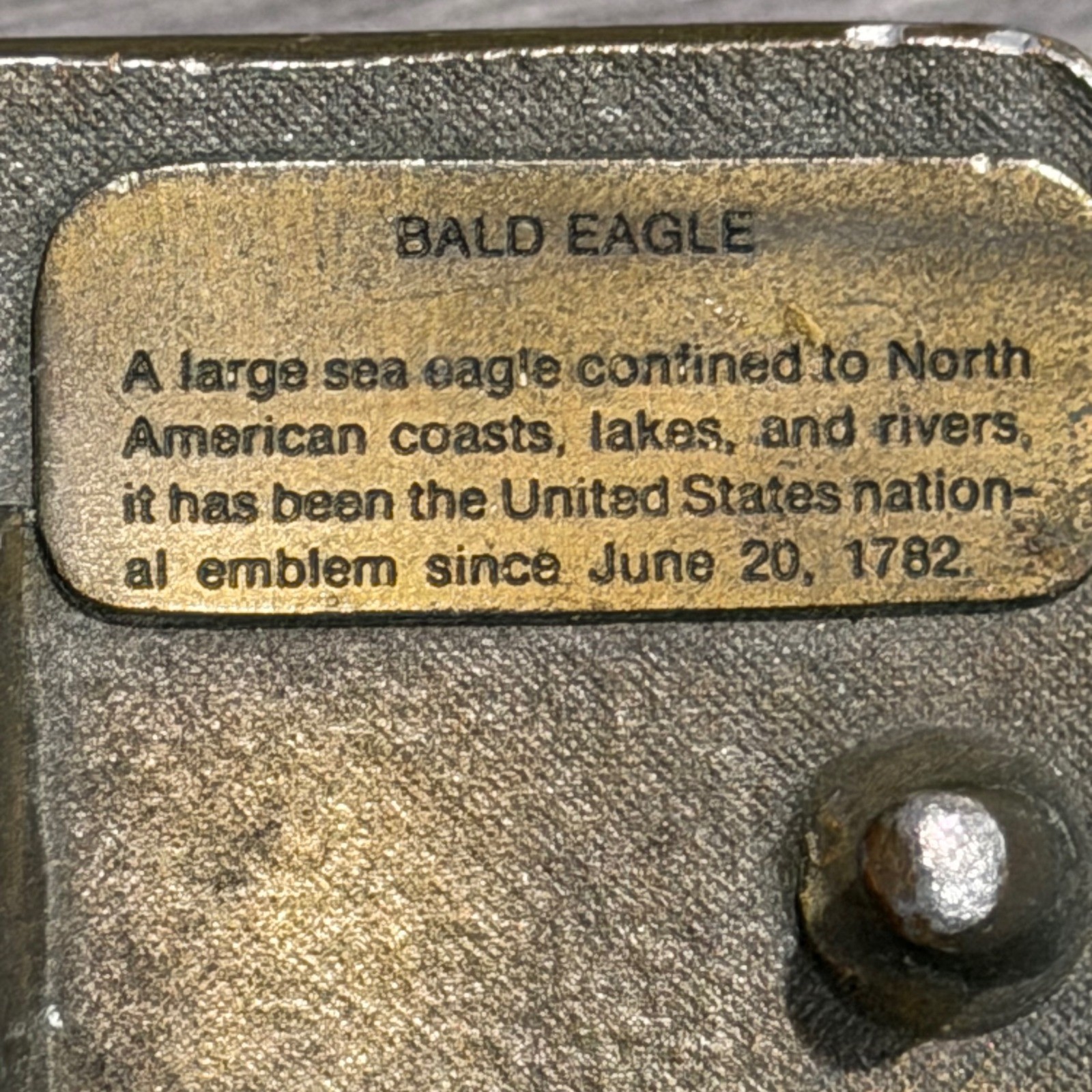 Vintage 1977 Indiana Metal Craft Bald Eagle Belt Buckle Bronze Tone Distressed