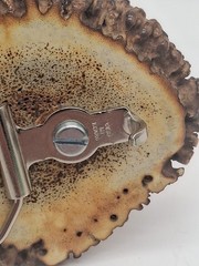 Vintage Handcrafted Elk Antler Burr Belt Buckle Buck