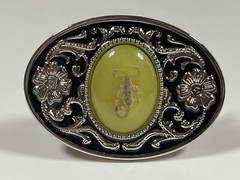 Real Scorpion Belt Buckle Insects in Resin Taxidermy – Minor Defects – 3 Pack