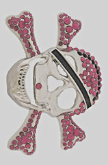 Skull Belt Buckles Crossbones Bandana Halloween Pirate Costume Bling Hot Pink