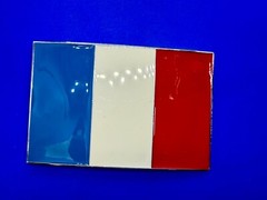 Flag of France French Country Blue White Red Enamel Patriotic Belt Buckle