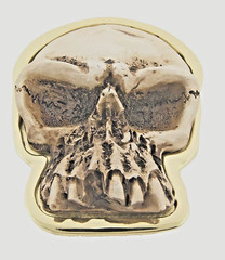 Skull Belt Buckles Halloween Costume Party Skeleton Cosplay GOTHIC TATTOO MEN