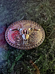 Vintage Western Longhorn Bull Cow Skull Belt Buckle – Silver Chrome Rodeo Cowboy
