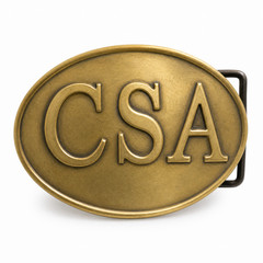 CSA Bronze Plated Metal Belt Buckle Civil War Confederate Reenactment Gear