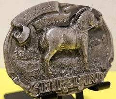 Vintage 1988 Shireland Park Horse Belt Buckle First Edition