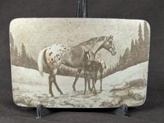 Vintage Perma-Tech Belt Buckle Appaloosa Mare and Foal Etched Aluminum 3.5 Inch