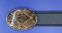 Small Rattlesnake Skin Belt Buckle with Epoxy Overlay made in USA
