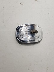 Vintage Western Engraved Belt Buckle Armadillo Overlay Silver Tone Cowboy
