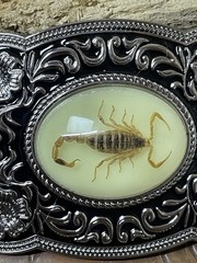Scorpion Xmas WESTERN SILVER BELT ADJUSTABLE BUCKLE MEN WOMEN UNIQUE VALENTINE