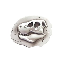 Antique Brushed Silver Dinosaur Bone Fossil Belt Buckle also Stock in the US