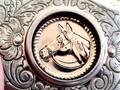 Belt Buckle w Horse Head Silver Tone Metal Western Style