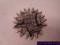 Dragon Designs TanSide Belt Buckle Star TAN-690