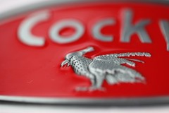 Cocky Pewter Finish Metal Belt Buckle Medium, Red
