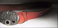Texas Buckle and Belt Western Silver Metal with Purple Stone, Armadillo Sz 37