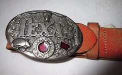 Texas Buckle and Belt Western Silver Metal with Purple Stone, Armadillo Sz 37