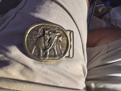 1970s Bull Elephant Savannah Trunk Ivory Tusks Safari Vintage Belt Buckle