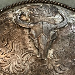 Montana Silversmiths Buffalo Bull Skull Belt Buckle Silver Cowboy Western Rodeo