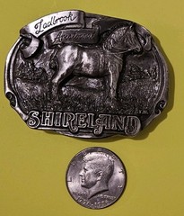 Vintage 1988 Shireland Park Horse Belt Buckle First Edition