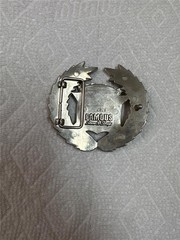 Famous Stars and Stripes Belt Buckle 8387
