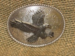 Western / Cowboy Belt Buckle ~ Oval Engraved w/ 3-D Flying Eagle ~ Silver Color