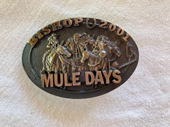 Mule Days Belt Buckle, Soldid Brass. Collectors and Enthusiasts!