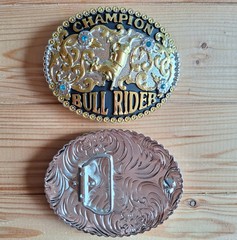 BIG champion Bull rider rodeo western silver & gold belt buckle (choice colors)