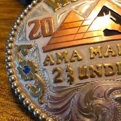 Frontier Brand WSAQHA Quarter Horse Trophy Award Belt Buckle