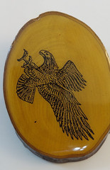 Vintage Wood Slice Attacking Eagle Belt Buckle with Bark Edge